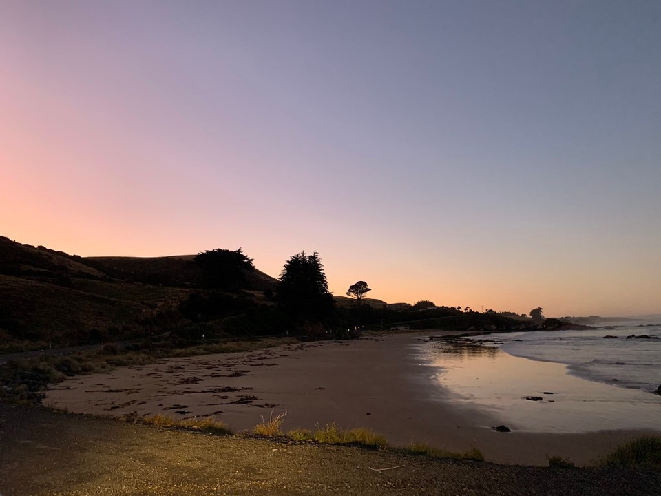 Neuseeland - Dunedin - 