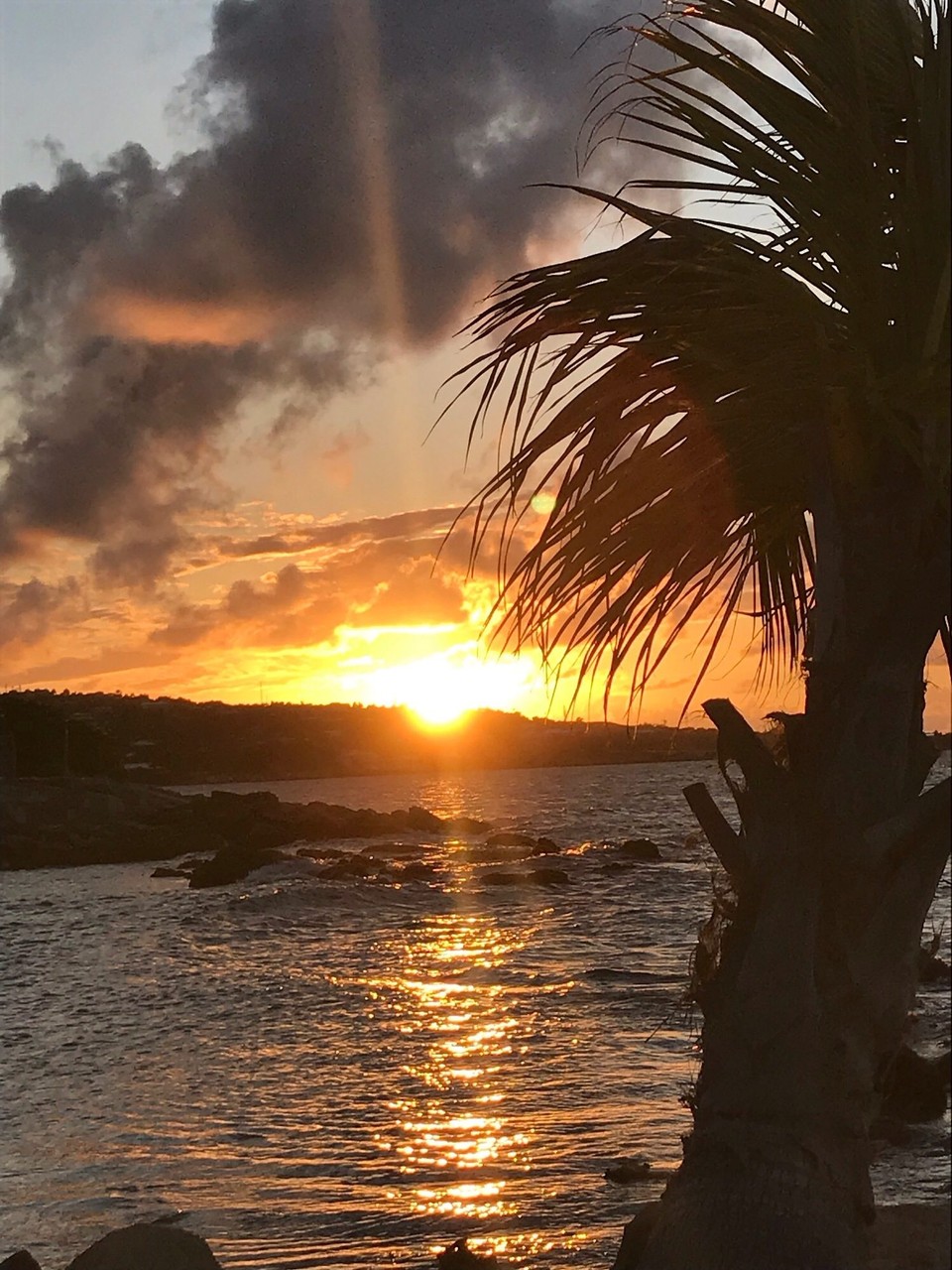 Antigua and Barbuda - Antigua and Barbuda - 