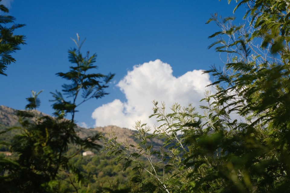 Frankreich - La Garde-Freinet - 