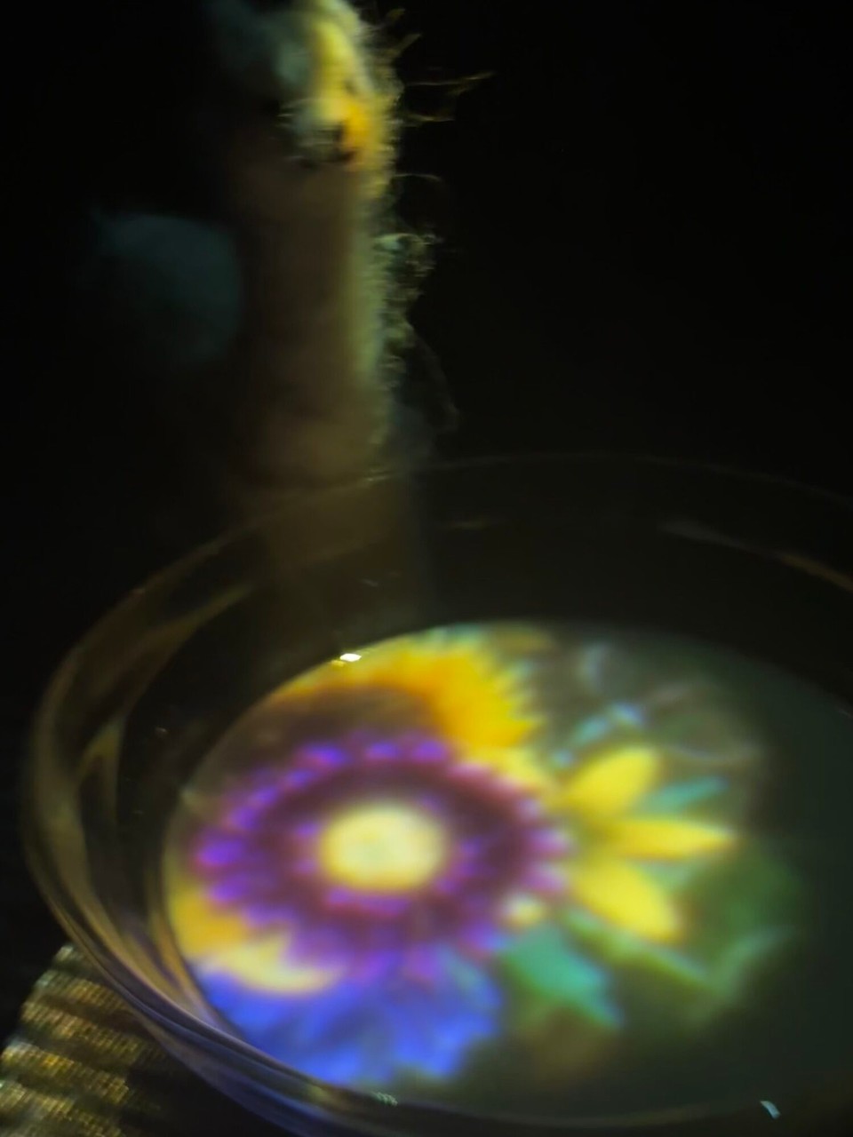 Japan - Chiyoda - …. Und eine Teezeremonie gab es auch