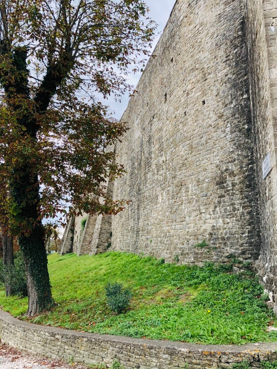 Kroatien - Motovun - Motovun 
