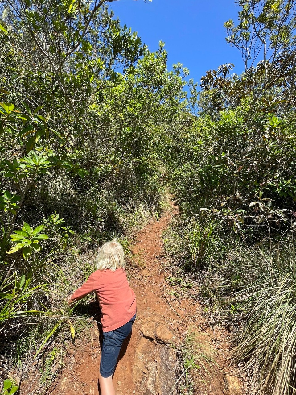 Panama - Santa Fé - 