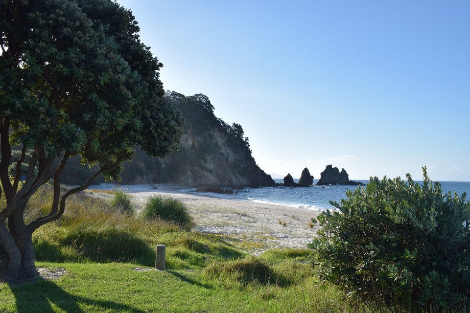 Neuseeland - Whitianga - ...und die andere Seite von Otama Beach - wir waren fasziniert davon, wie unterschiedlich die beiden Enden des Strandes aussahen
