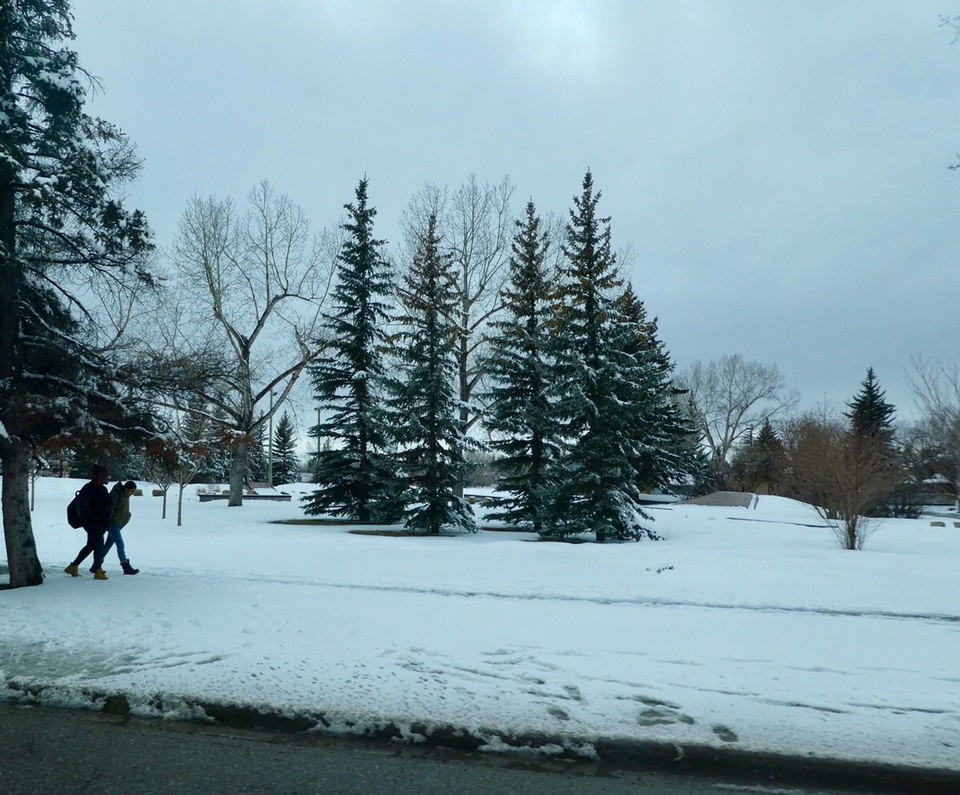 Canada - Calgary - From the car window