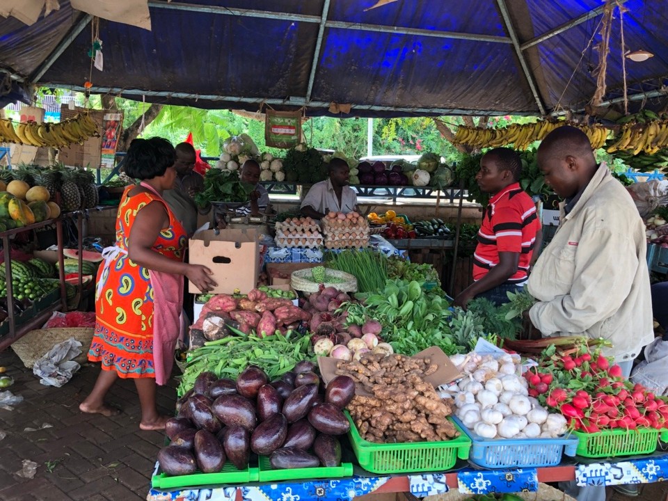 Kenia - Mombasa - 