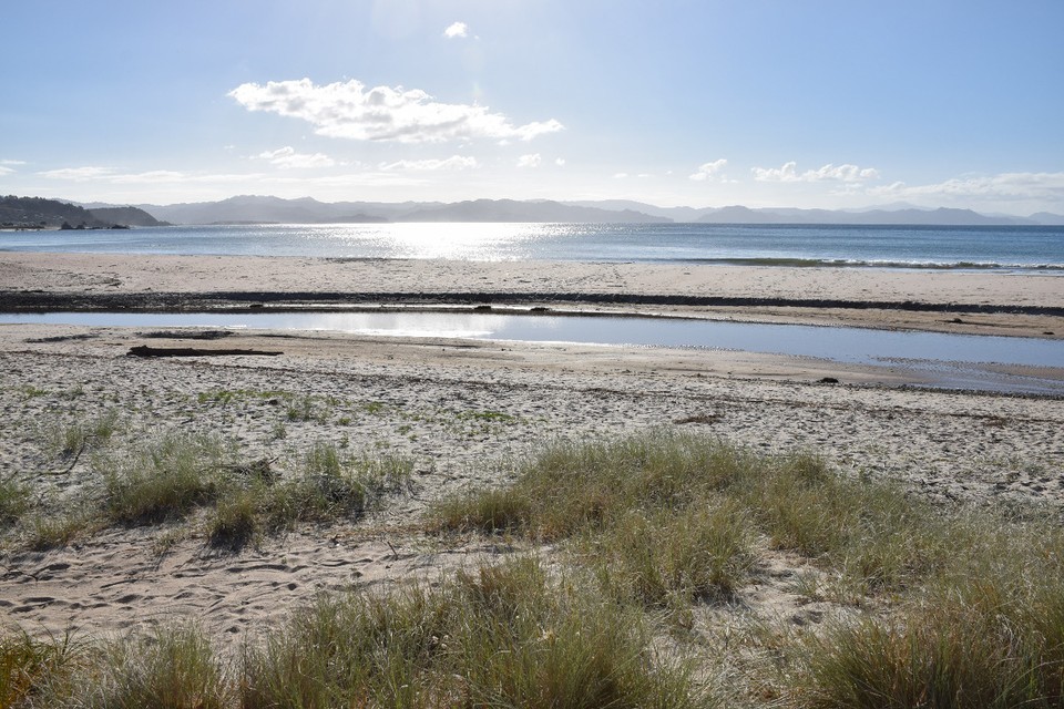 Neuseeland - Whitianga - Hier ist es zwar auch schön...