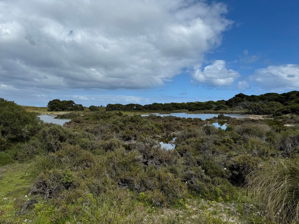 Australien - Rottnest - 