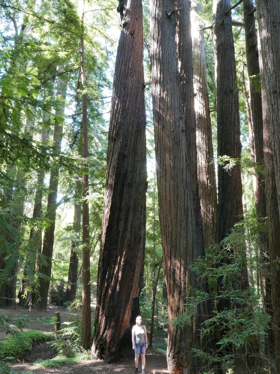 USA - Big Sur - 