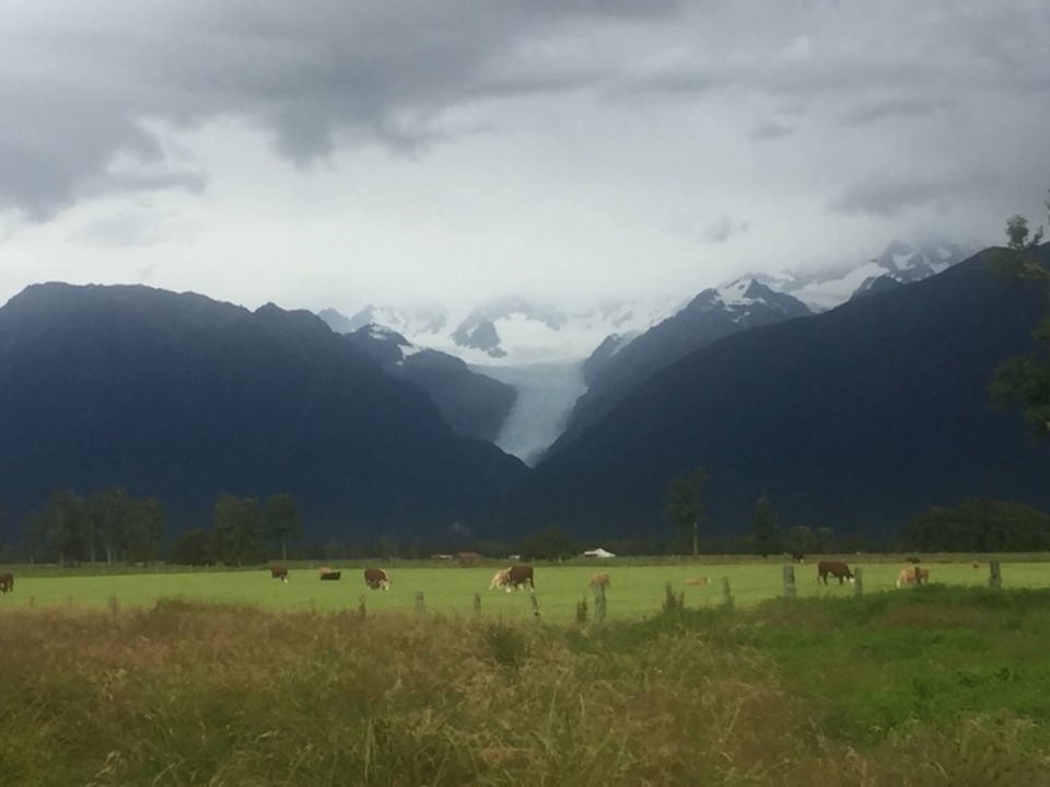 Neuseeland - Fox Glacier - 