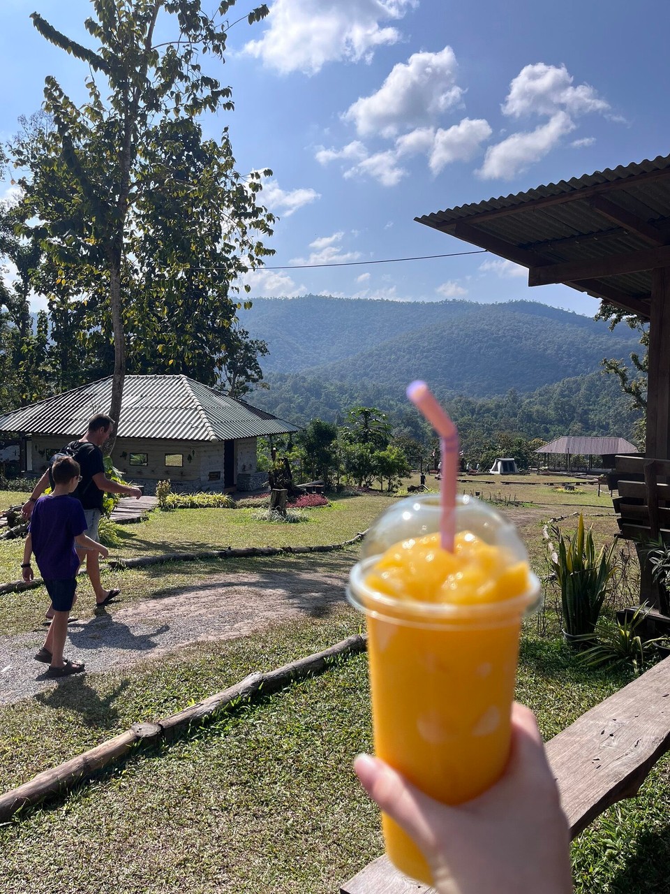 Thailand - Mueang Chiang Mai - 