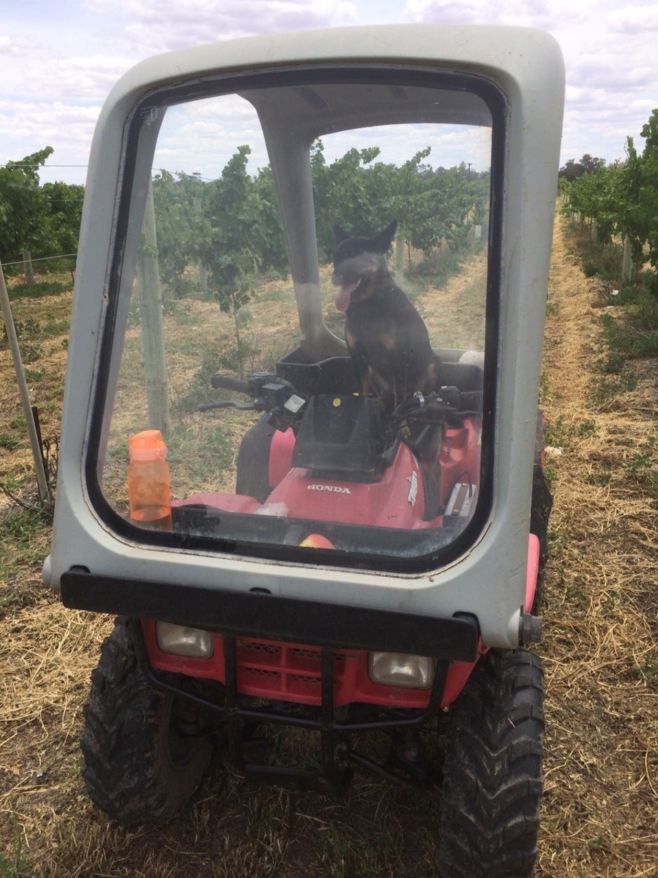 Australia - Wentworth - Usually, I drive the atv around the property. 