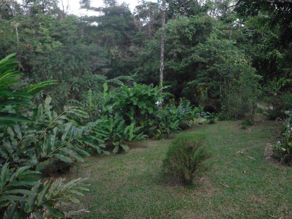 Costa Rica - Liberia - 