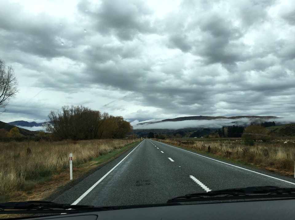 New Zealand - Dunedin - Der Weg ist das Ziel - das ist der Titel dieser Bilderreihe von Dunedin. Von der Stadt selbst hab ich keine Bilder aber eben von unterwegs:)