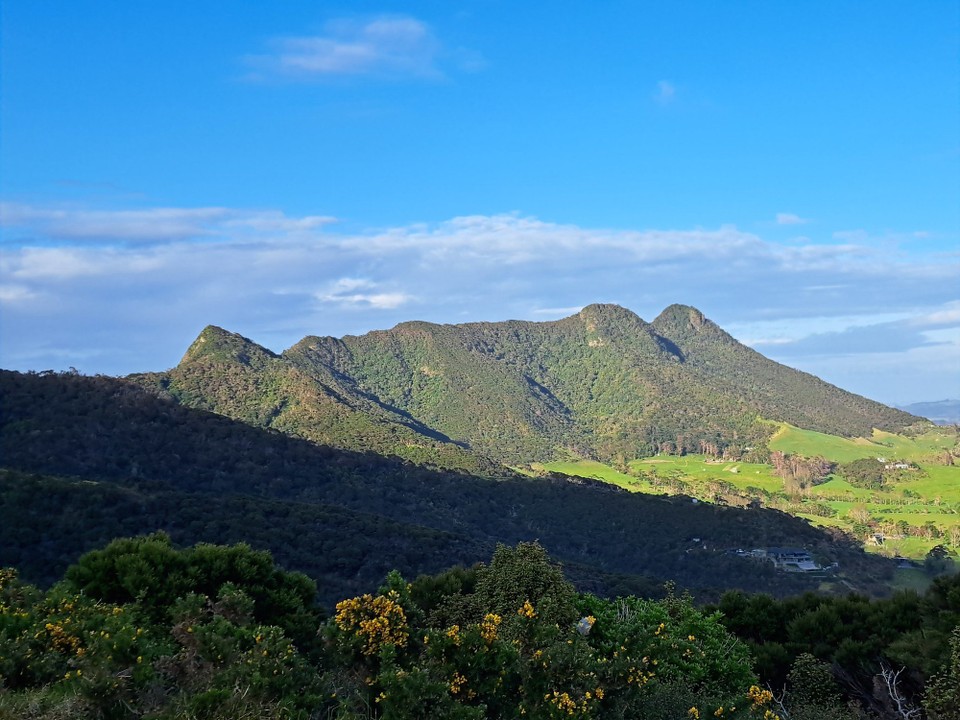 Neuseeland - Ruakākā - Es ist noch ein langer Weg bis es am Ende des Berggrates wieder runter geht 