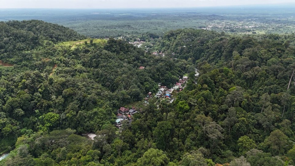 Indonesien - Kabupaten Langkat - Bukit Lawang