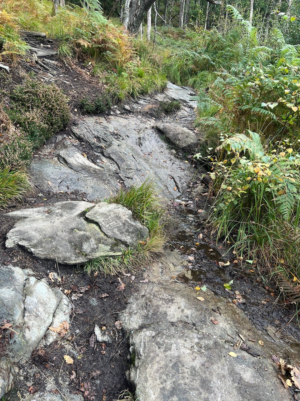 Vereinigtes Königreich - Stirling - 