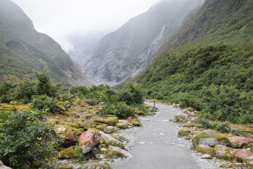 Neuseeland - Franz-Josef-Gletscher - 