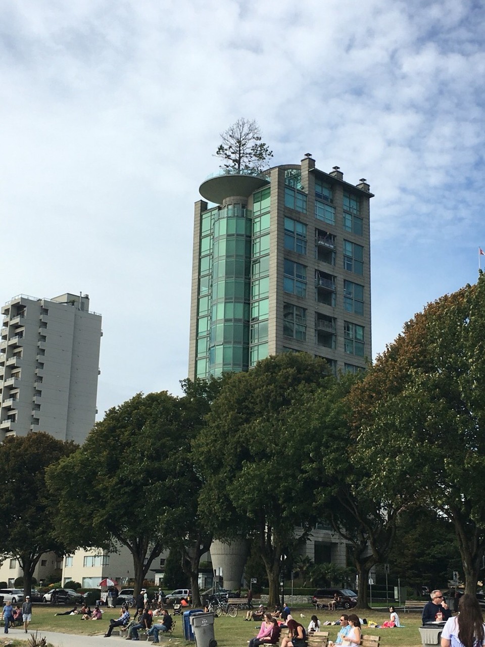  - Kanada, Vancouver - Baum auf dem Haus - nicht ganz sicher wie das funktioniert aber er sieht nicht so ganz glücklich aus, also do im Vergleich zu denen die darunter stehen