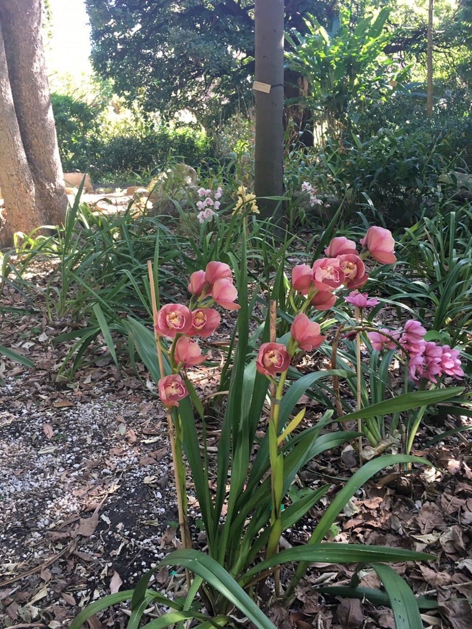 Ausztrália - Sydney - 