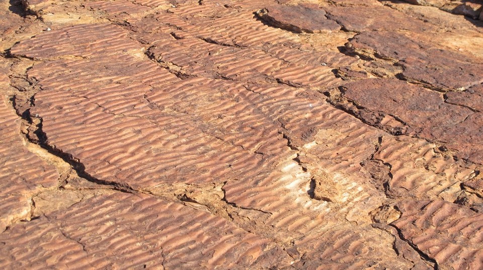 Australia - Petermann - 