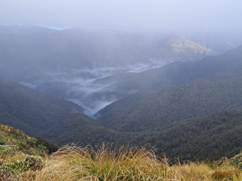 Neuseeland - Parawai Lodge - 