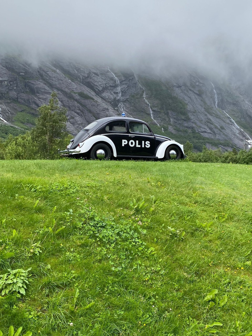 Norwegen - Åndalsnes - Die Polizei war auch schon da. 