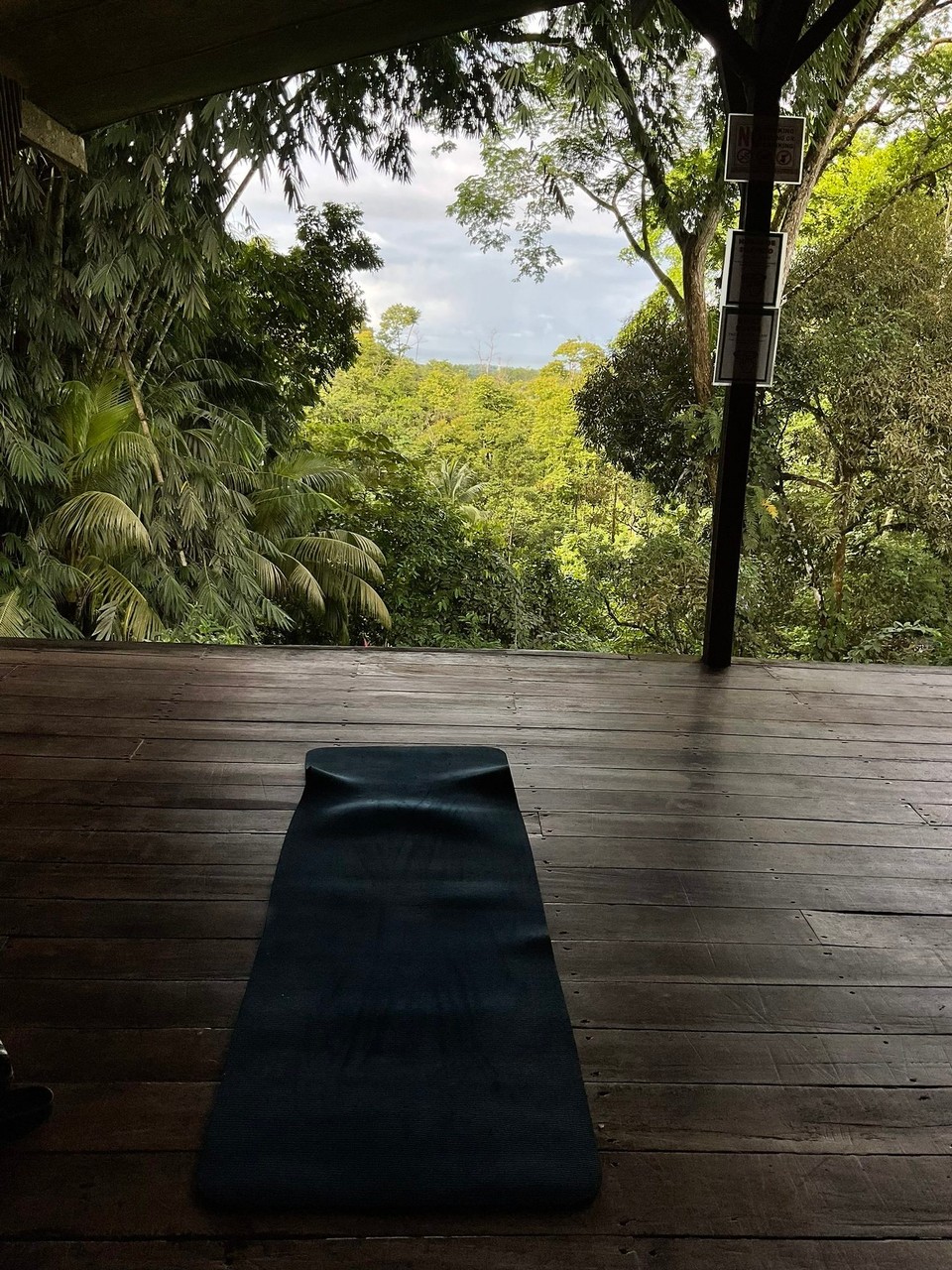 Costa Rica - Osa - Den Morgen ganz entspannt im Hostel starten 🧘🏽‍♀️ 