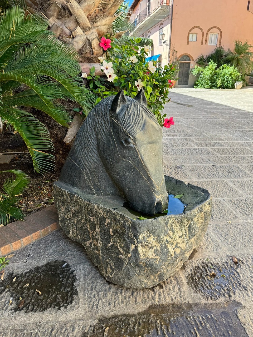 Italien - Capoliveri - Pferdetränke für wen?