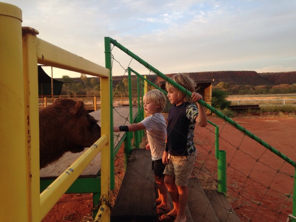 Australia - Petermann - 