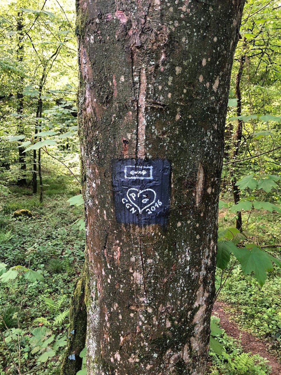 Deutschland - Odenthal - 