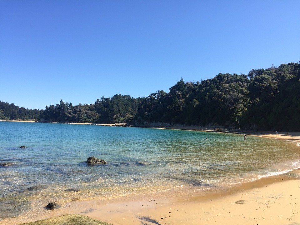 Neuseeland - Kaiteriteri - 