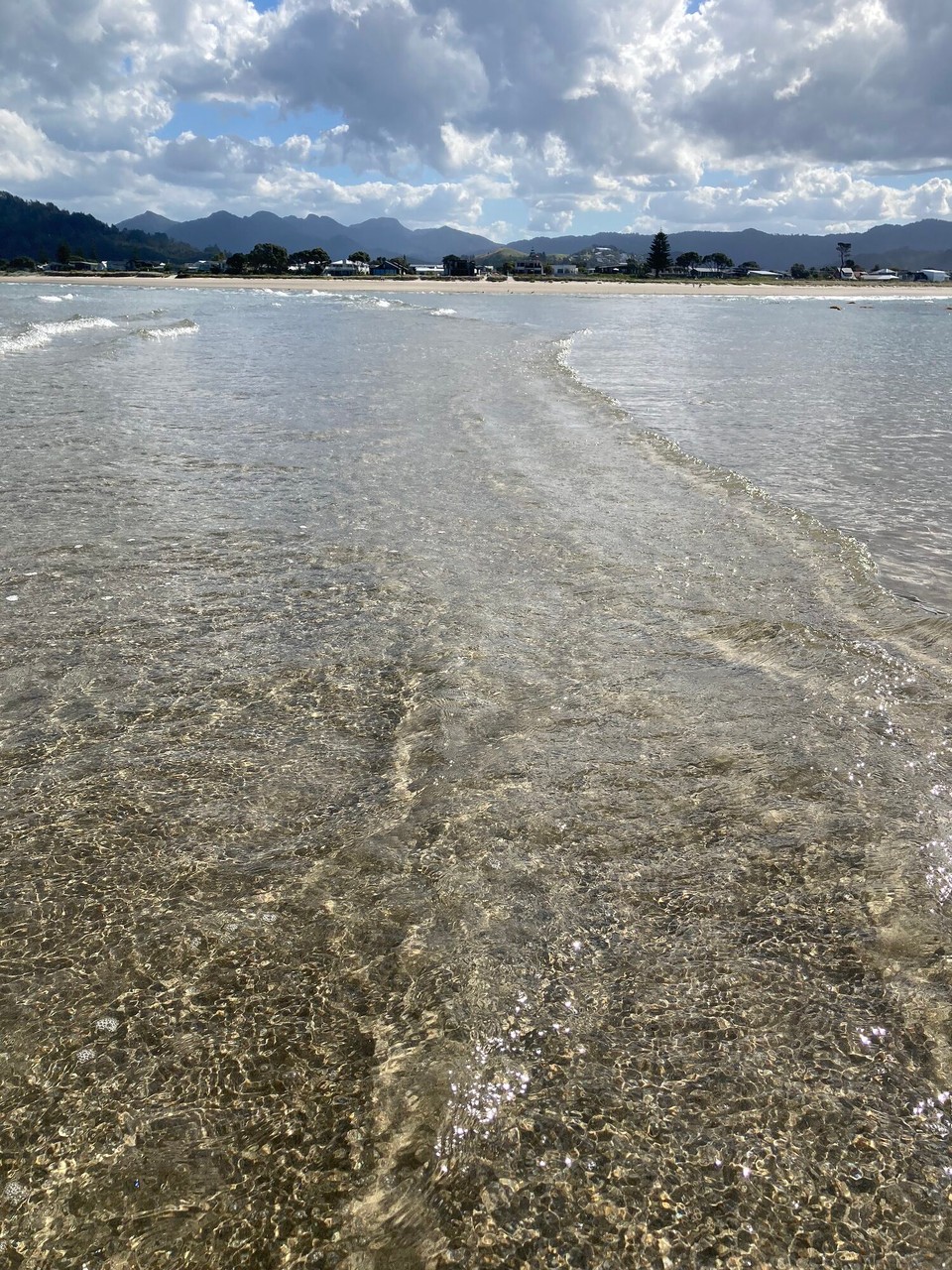 Neuseeland -  - 