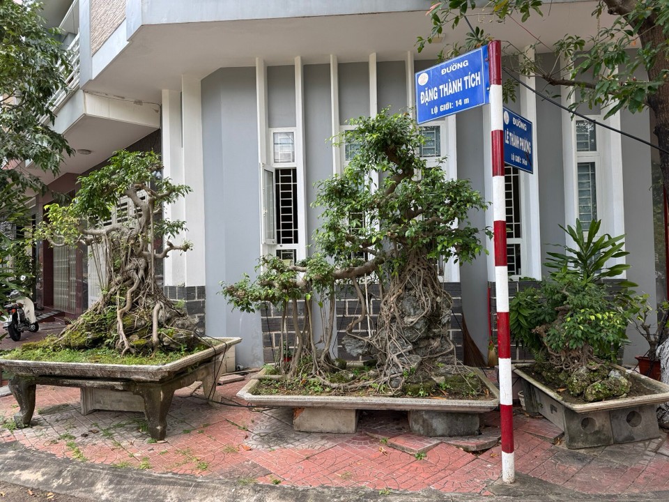 Vietnam - Song Cau - 