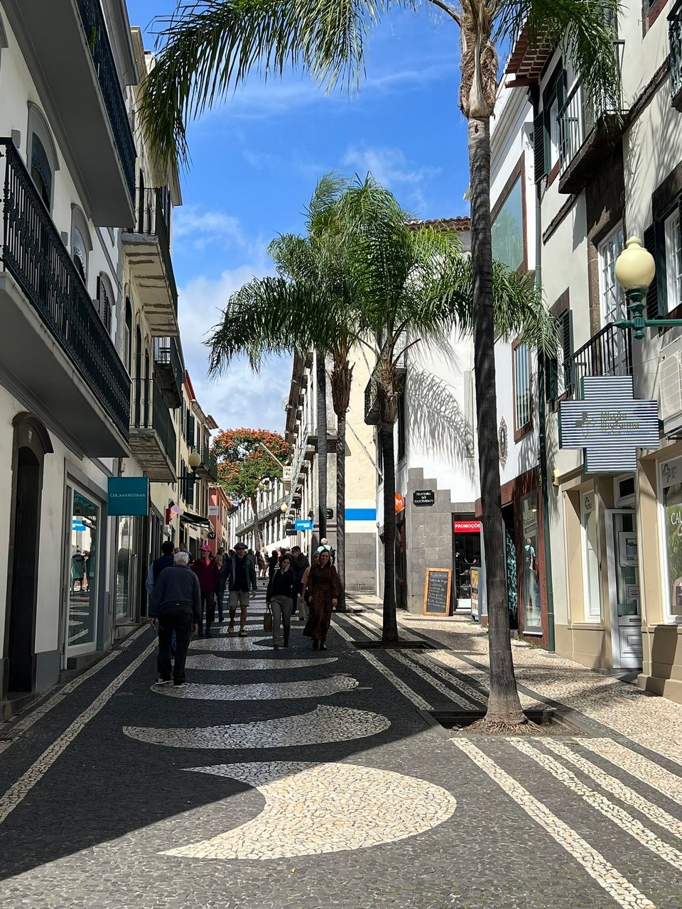 Portugal - Funchal - Unterwegs in der Stadt