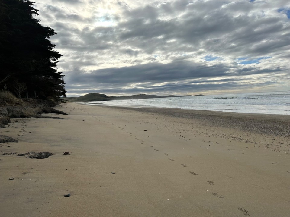 Neuseeland - Dunedin - 