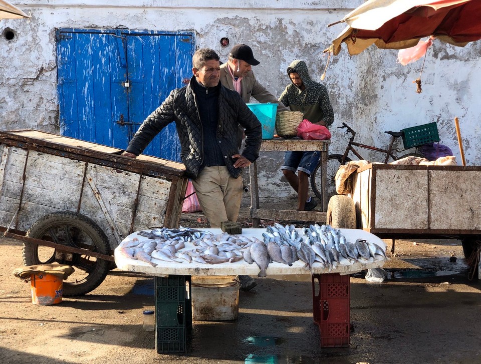 Marokko - Essaouira - An den Geruch auf dem Fischmarkt muss man sich erstmal gewöhnen. Appetit auf Fisch macht er nicht gerade. Zum Glück war es sehr windig. 