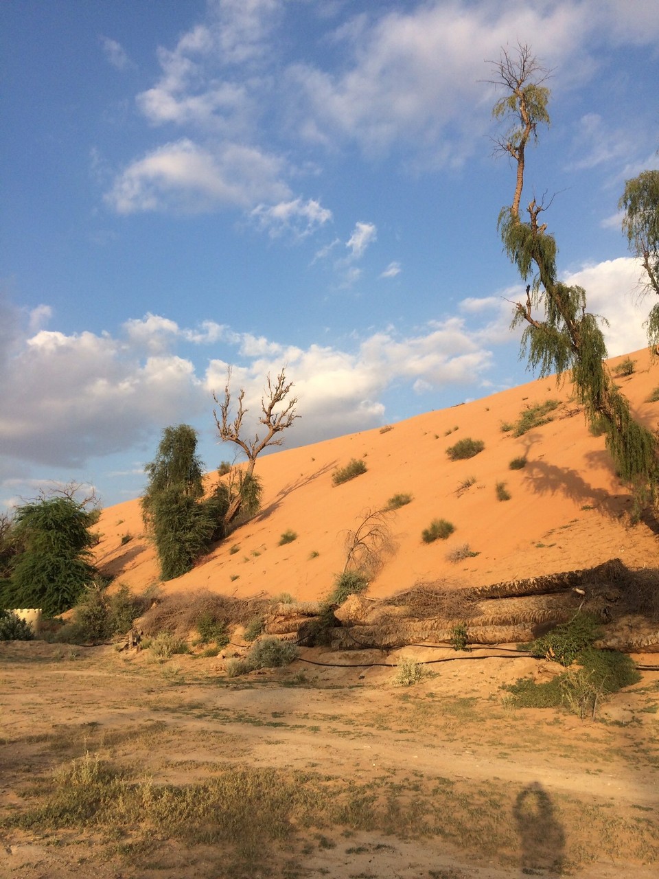 Oman -  - 
