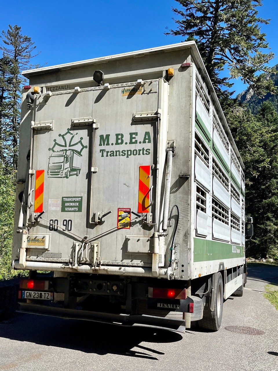 Frankreich - Cauterets - ‚Alpabzug‘