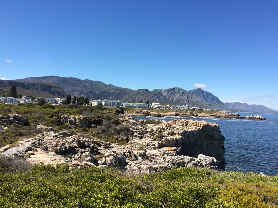 Südafrika - Hermanus - 