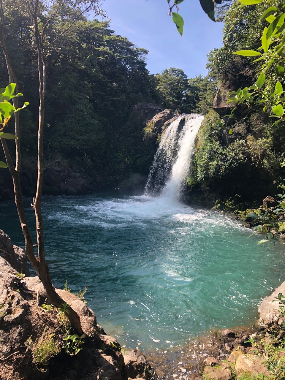 Neuseeland - Matiere - Dieser Wasserfall kommt im Film Herr der Ringe vor.