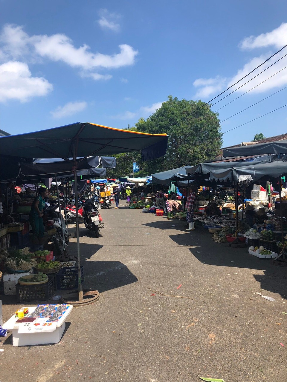 Vietnam - Huế - 