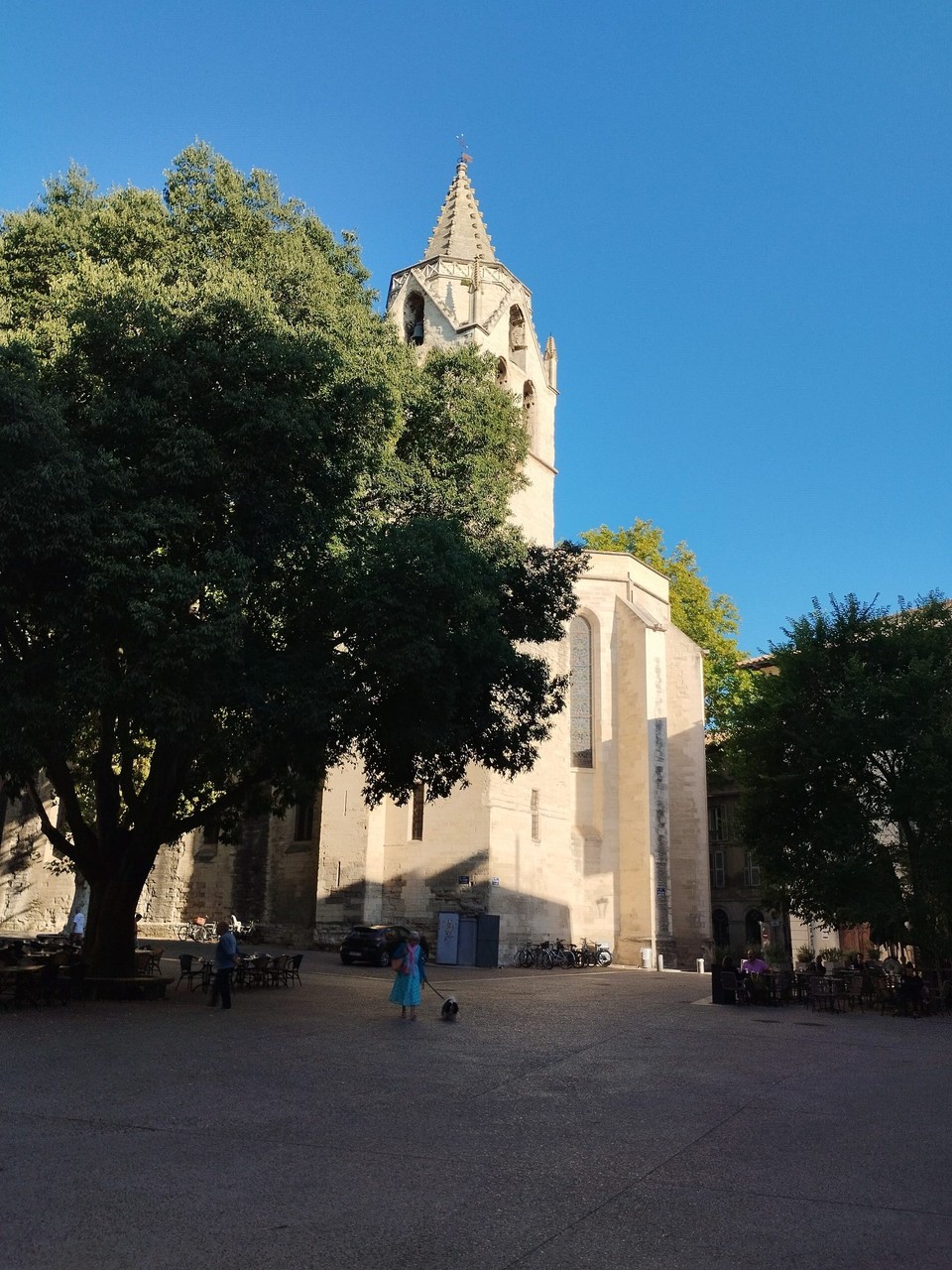 Frankreich - Avignon - 