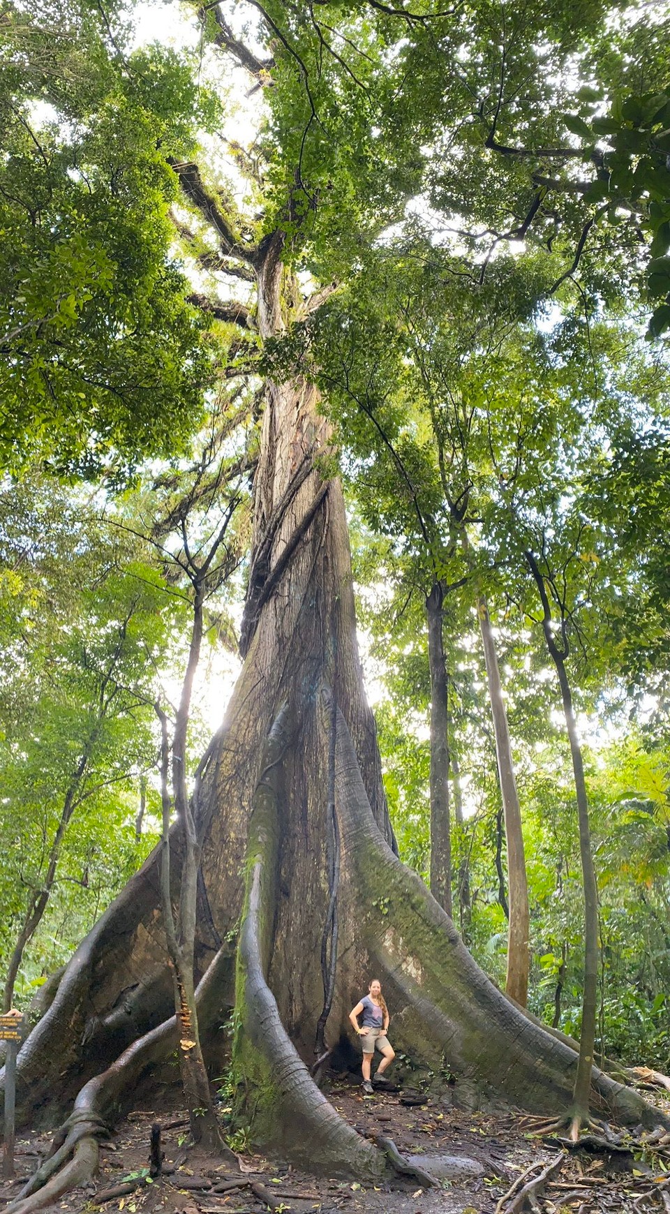 Costa Rica - San Ramón - 