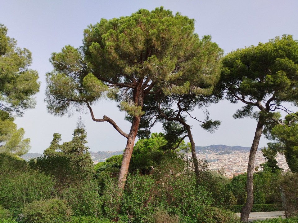 Spanien - Barcelona - 