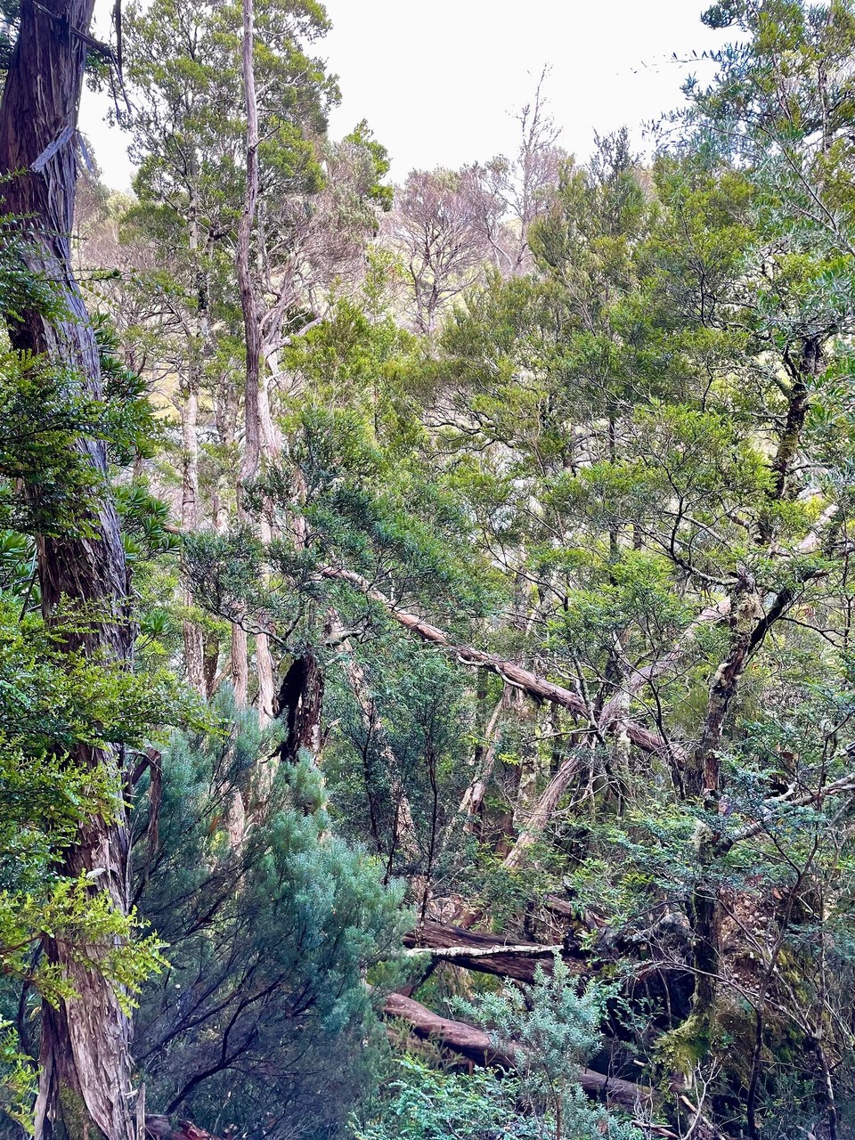 Australien - Launceston - 