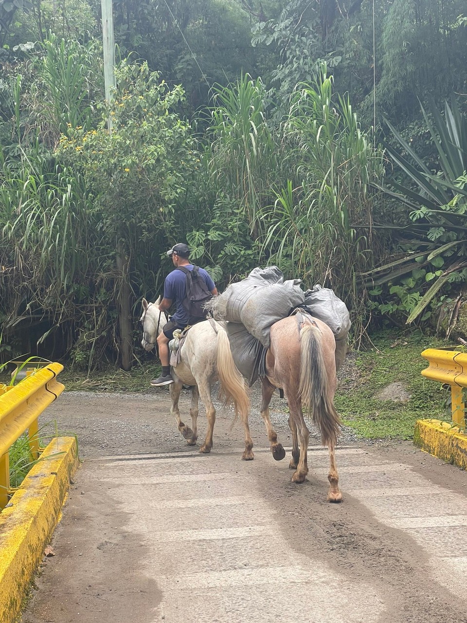Costa Rica - Pérez Zeledón - … wie das Gepäck hier sonst an Ort und Stelle kommt (ich sah wohl ähnlich beladen aus und konnte mit den 🐴🐴 mitfühlen)