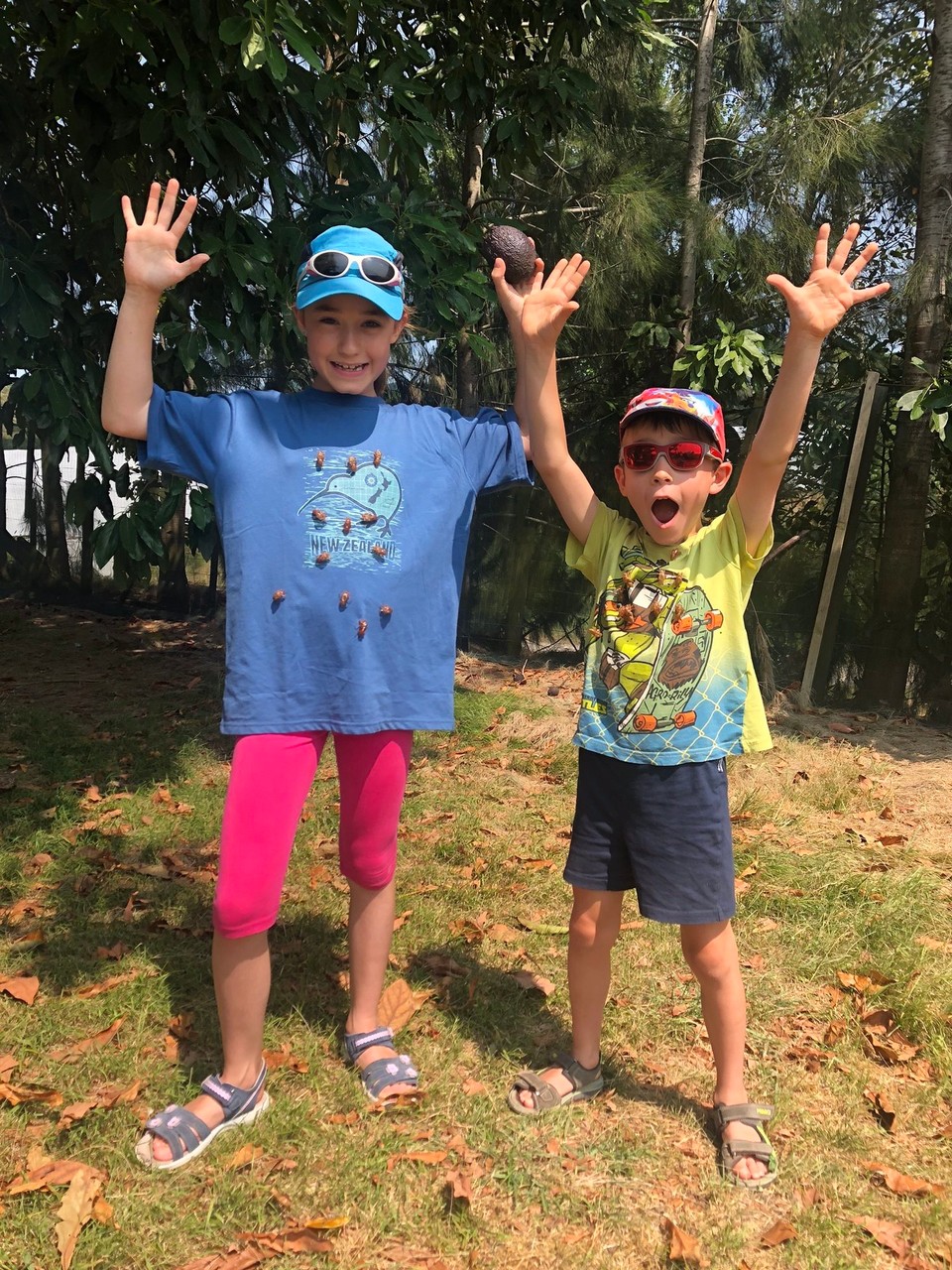 Neuseeland - Paengaroa - Ich wurde von grillen 🦗 atakiert. 