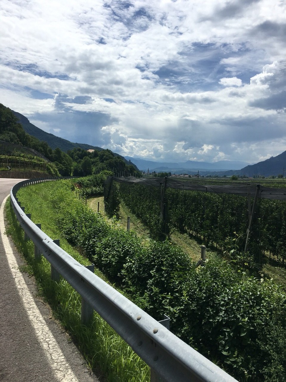 Italien - Terlan - 
