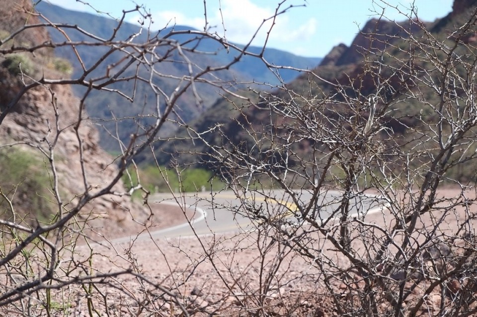 Argentinien - Cafayate - 