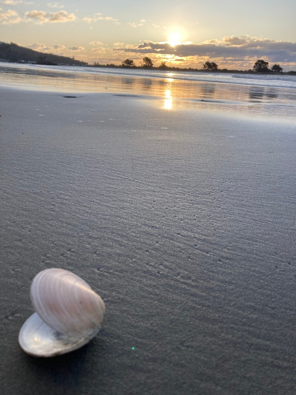 Neuseeland - Christchurch - 